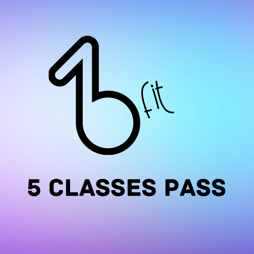 5 BaboFit Classes